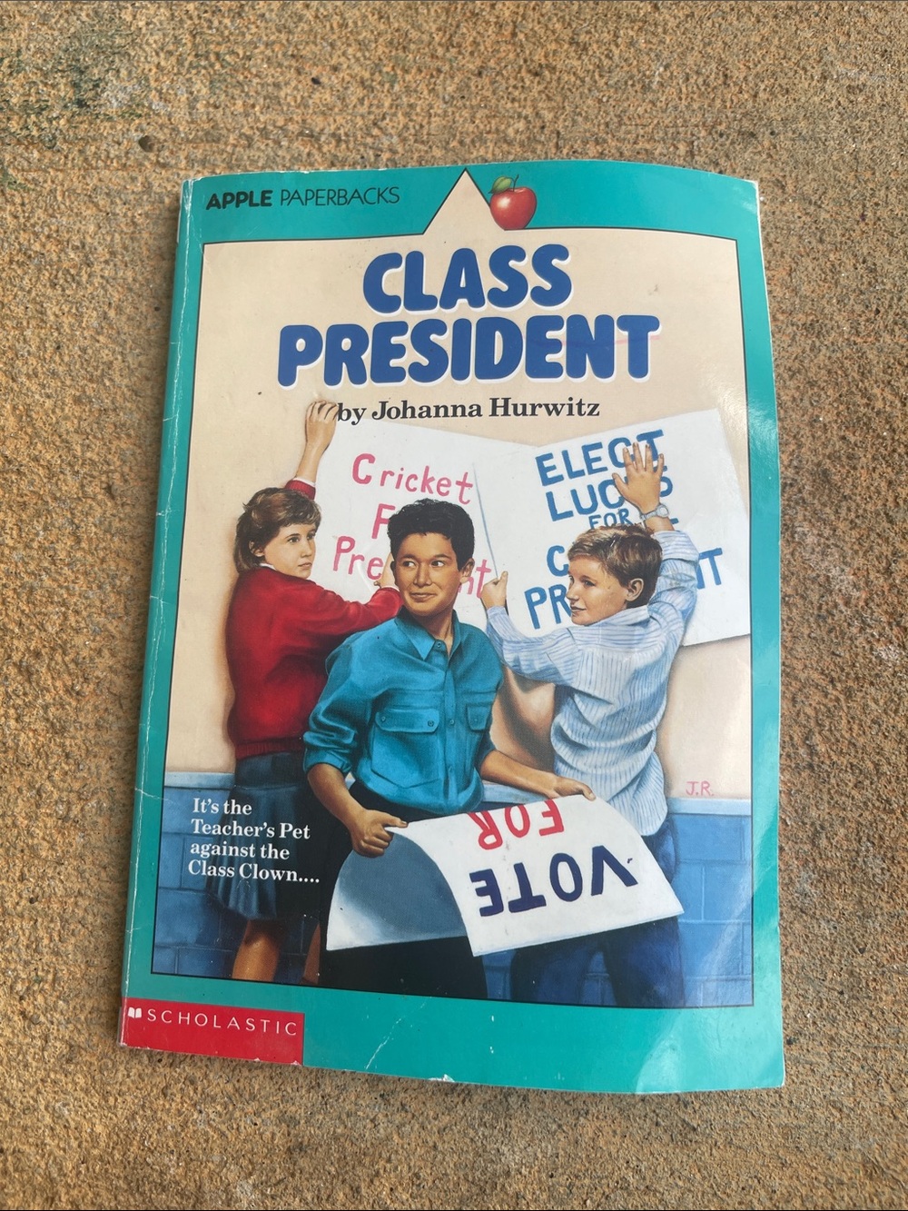 Scholastic Class President - Teal and Cream Illustrated Cover